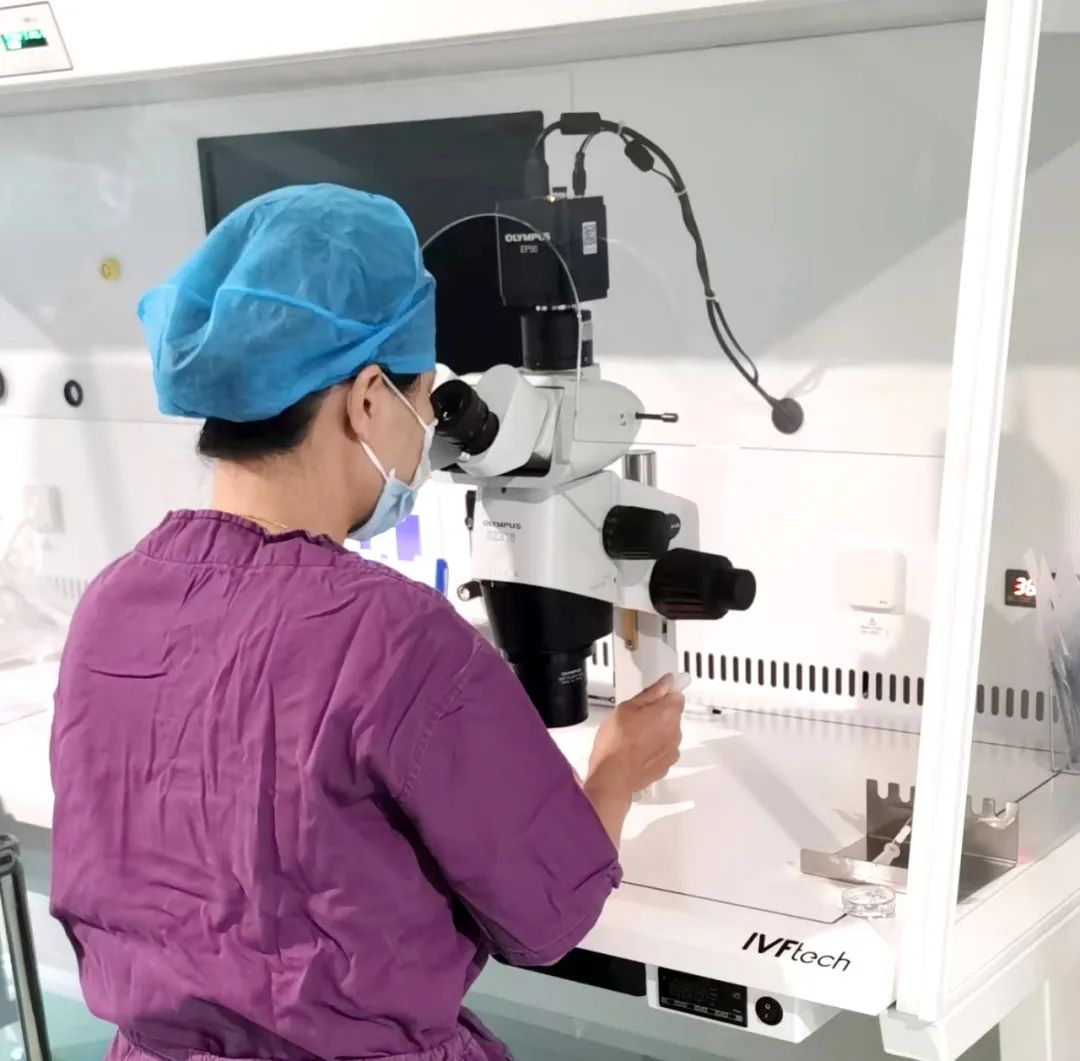【喜訊】保山首例無精子癥通過試管嬰兒技術(shù)助孕成功！